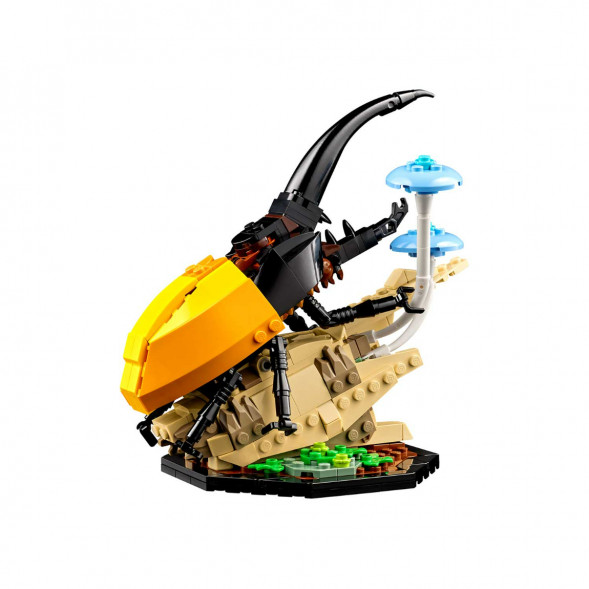 Конструктор LEGO Ideas 21342 Коллекция насекомых в Иваново