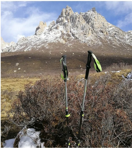 Треккинговая палка Naturehike 135 см, 1 шт., белый/красный в Иваново