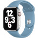 Ремешок для Apple Watch 40mm Northern Blue Sport Band (MYD02ZM/A), скандинавский синий в Иваново