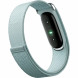 Фитнес-браслет Google Fitbit Air (Серо-голубой/Fog) в Иваново